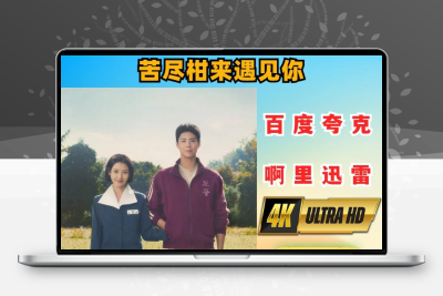 苦尽柑来遇见你 韩剧 4K网盘秒发
