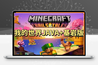 我的世界JAVA版+基岩正版账号 Minecraft官方微软正版账号