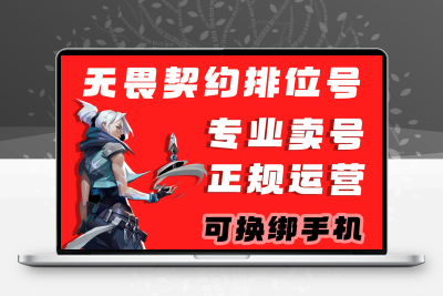 无畏契约国服排位号小号黑号初始号白号wegame二十级账号青铜黑铁