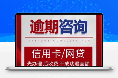 债务延分期网贷还款方案停息延期委托债务处理负债分期逾期处理