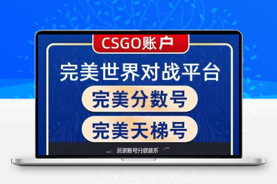 CS2完美竞技平台账号老兵天梯5E平台优先号新手低分段位绿色steam