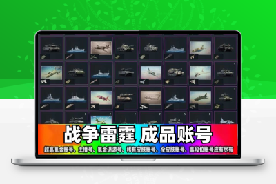 战争雷霆成品号多装备出售安卓iOS永久账号出售