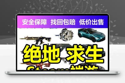 pubg绝地求生成品账号排位吃鸡买号steam游戏账户小丑女武器皮肤