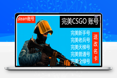 CS完美STEAM通用CSGO分段号可排位老兵号全绿认证号带改名卡正版