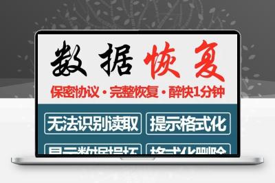 20U盘发货 含多款pc 电脑移动硬盘软件工具U盘sd卡数据恢复