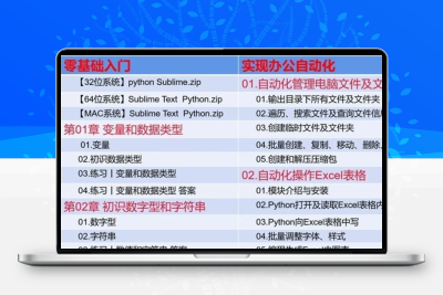 python项目实例源码 算法游戏办公自动化Excel处理word实战源代码