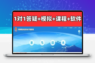 会计实务做账真账实训零基础全盘帐出纳报税实战模拟系统网课教程