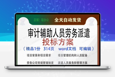 审计辅助人员劳务派遣投标方案项目参考范本word文档模板可编辑