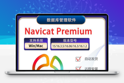 Navicat Premium 17中文版软件数据库客户端支持Mac/win远程安装