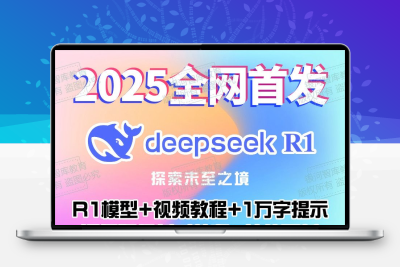 Deepseek远程代安装本地部署打造私有AI助手永久使用2025全新整理