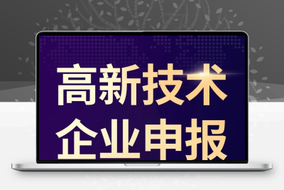 高新技术企业认定复审新申报高企认定专精特新全国可接专业服务好