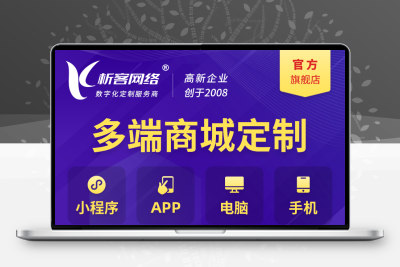 小程序商城app定制开发海外购物多语言商城外贸批发网站建设制作