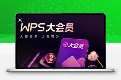 WPS超级会员1个月卡pdf转word排版PPT模板素材excle数据处理/海报
