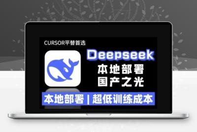 2025年deepseek R1 大型模型本地安装部署(文件+教程)本地部署，超低训练成本