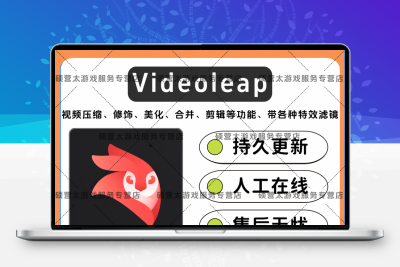 Videoleap 软件素材