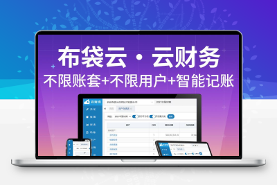 布袋云智能财务软件记账会计做账出纳管理系统代账网页永久终身版
