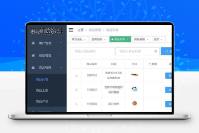 java微信小程序前后台源代码 SpringBoot 小程序商城源文件素材