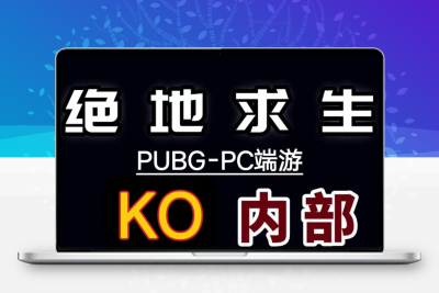 端游PC绝地求生PUBG吃鸡游戏软件教程资料
